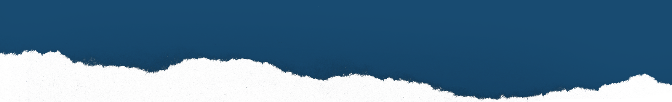 Decorative gradient divider